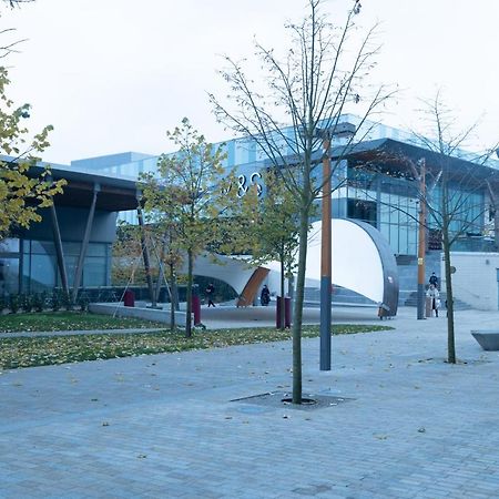 Luxe Apartments Bracknell Near Ascot, Legoland, Windsor, Lexicon - Free Parking & Gym מראה חיצוני תמונה